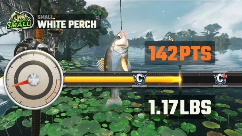 Tải Fishing Master APK V2.5.226526 Mới Nhất Cho Android Những Điểm Hấp Dẫn Khiến Fishing Master APK Thu Hút Game Thủ
