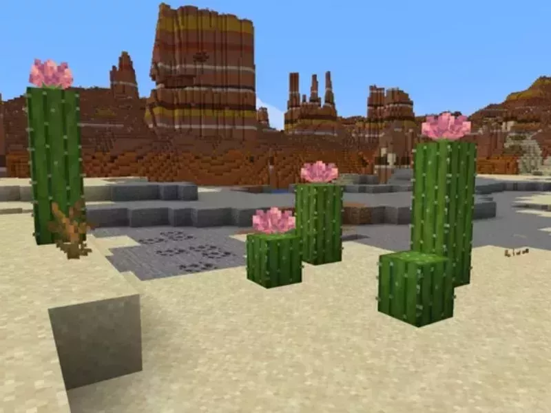 Tải Minecraft 1.21.71 APK Cho Android Miễn Phí Khám Phá Những Nội Dung Sinh Tồn Đỉnh Cao Trong Thế Giới Minecraft 1.21.71 APK